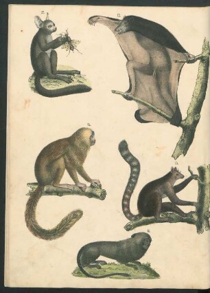 Tafel: [Fig. 12.-26.]
