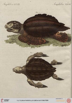 B.VII. No. 81 - B.VII. No. 90