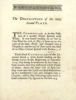 The Description of the Sixty Second Plate