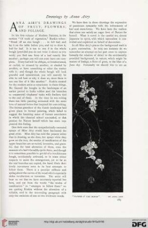 64: Anna Airy's drawings of fruit, flowers and foliage