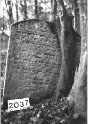 Grabstein 2037