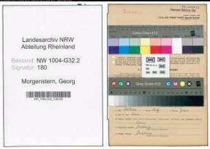 Entnazifizierung Georg Morgenstern , geb. 24.09.1882 (Steuerberater)