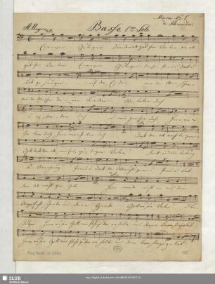 Basso 1.mo Solo