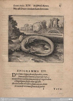Emblema XIV. De secretis Naturae.