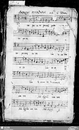 14 Andreas Pevernage: Pater peccavi in caelum