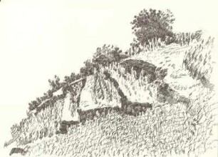 Weinberg in Seusslitz