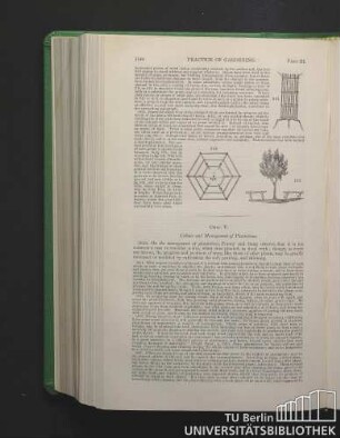 Chap. V. Culture and management of plantations.