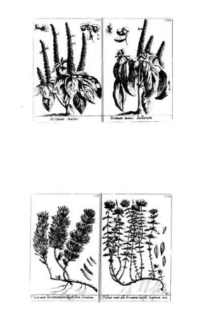 1071-1074