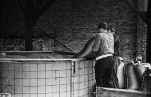Fotografie: Trocknungstechnik, Belüftungstrocknung, Hochsilo, Nacherntetechnik