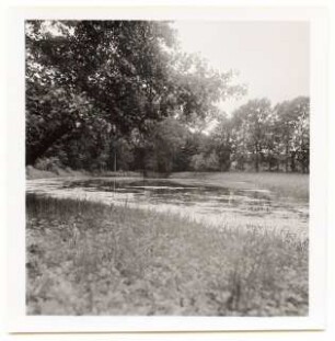 Garten Dr. Schraube, Pritzwalk: Landschaft am Wasser