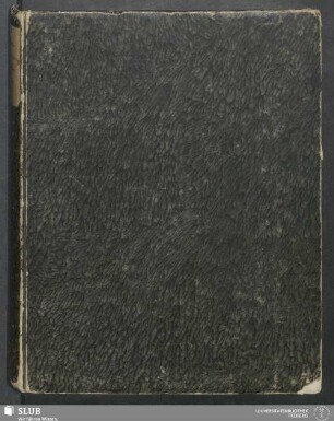 Versteinerungskunde - XVII 540 8.
