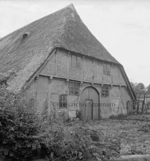Jenfeldtsches Bauernhaus: Mühlenstraße: Fachwerkhaus mit Reetdach von 1634: davor Sträucher und verkrautete Grünfläche