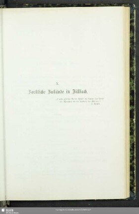 X. Forstliche Zustände in Zillbach