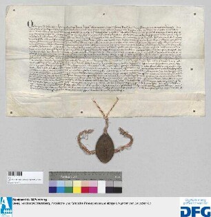 Markgraf Otto von Brandenburg als ein Kurfürst des Heiligen Römischen Reichs gibt seine Zustimmung zum Gnadenbrief Kaiser Karls IV. für die Stadt Nürnberg vom 5. April 1355 (SS/C Nr. 3), worin er der Stadt alle ihr in verschiedenen Städten verliehenen königlichen Zollbefreiungen erneuert und bestätigt. - Siegler: der Aussteller.