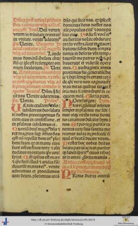 Psalterium