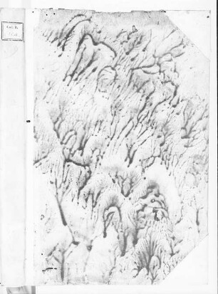 Breve ristretto della relazione della corte di Roma sub Innocentio XII. (1691-1700) - BSB Cod.ital. 124