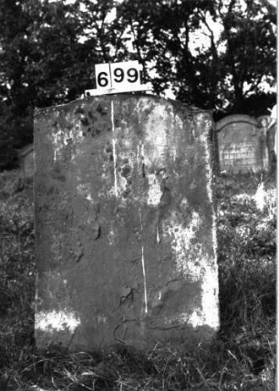 Grabstein 699