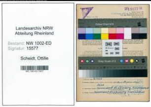 Entnazifizierung Ottilie Scheidt, geb. 26.04.1889 (Lehrerin)
