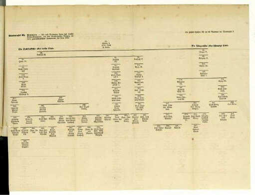 Stammtafel II. Pommern