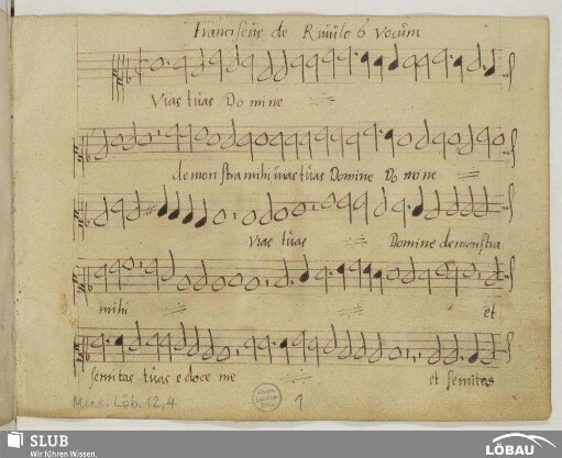 Rivulo, Franziscus de: Vias tuas Domine