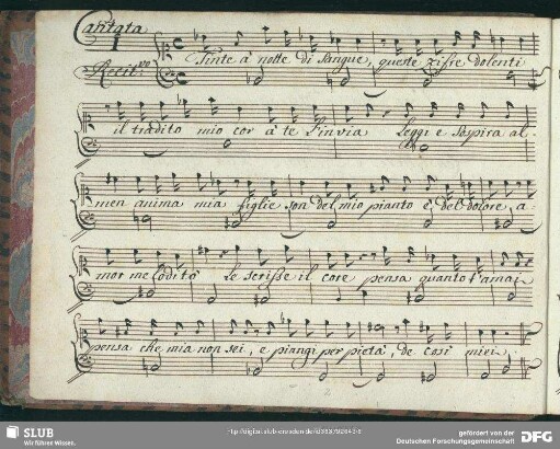 Recitativo: Tinte a note di sangue
