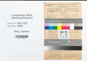Entnazifizierung Josefine Van Den Berg , geb. 30.11.1914 (Stenotypistin)
