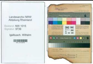 Entnazifizierung Wilhelm Igelbusch , geb. 09.06.1890 (Buchhalter)