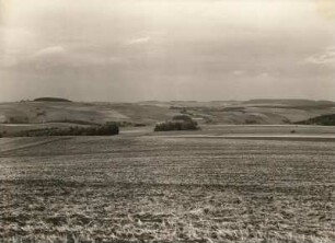 Erzgebirge. Blick von der Götzhöhe (493 m) bei Zschopau nach Nordwesten (links Altenhainer Spitzberg, rechts Adelsberg)