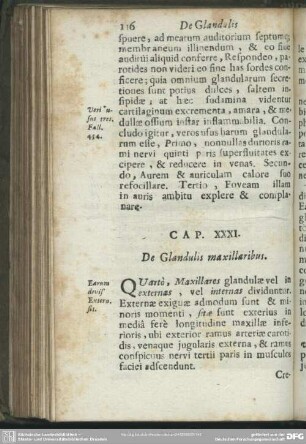 Cap. XXXI. [XXI.] De Glandulis maxillaribus
