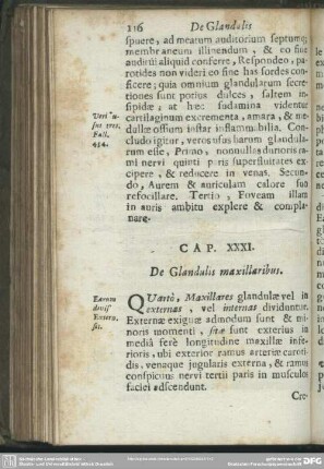 Cap. XXXI. [XXI.] De Glandulis maxillaribus