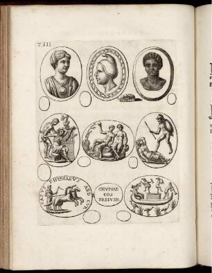 [Abbildung und Abbildungsbeschreibung] Tabula III. [-] Tabula IV.