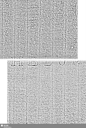 Lilienschild (gekrönt) + Glocke / HBLUM = S.21/22+27/28