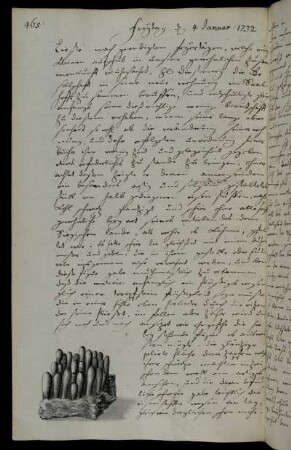 Freytag d 4 Januar. 1732