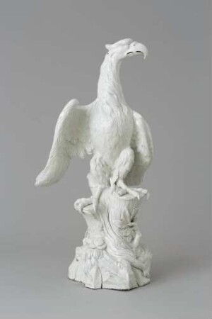 Adler, nach links blickend