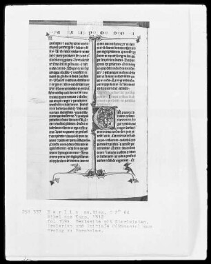 Camper Bibel, die zwei fragmentarisch erhaltenen Bände — Camper Bibel, Band 2 — Initiale C (Romanico), Folio 159 verso