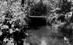 Wilsdruff-Helbigsdorf. Einmündung des Dorfbaches in die Triebisch, gegenüber dem Vorfluter (Aufnahme Martin Risse)