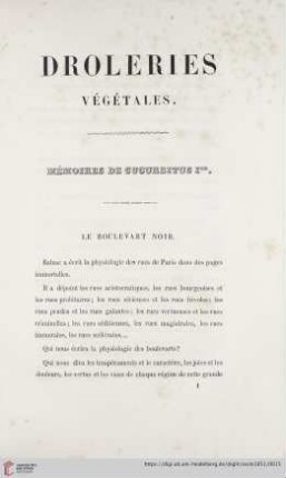 Le boulevart noir