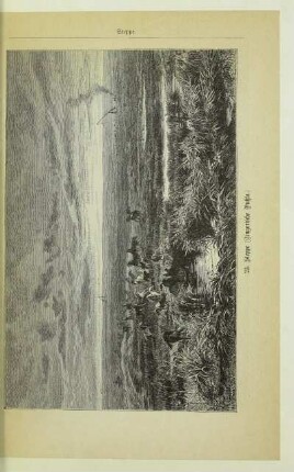 23. Steppe (Ungarische Pußta.)