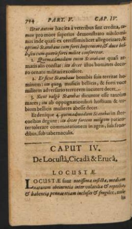 Caput IV. De Locusta, Cicada & Eruca.