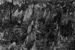 Knotenschiefer : Einzeln stehende, spitz zulaufende Felsen aus sogenanntem Knotenschiefer. Zwischen den Felsen spärliche Vegetation.