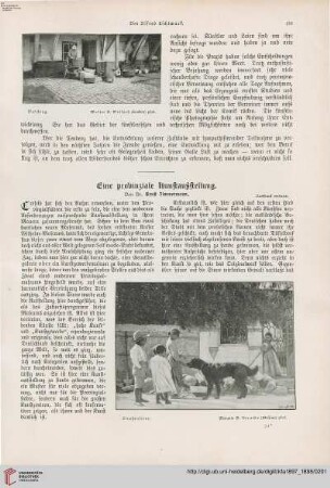 Eine provinziale Kunstausstellung