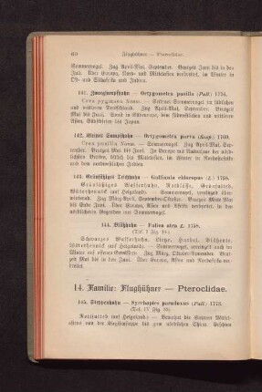 14. Familie: Flughühner - Pteroclidae.