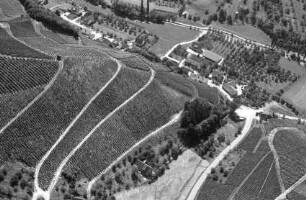Durbach: Weinberge