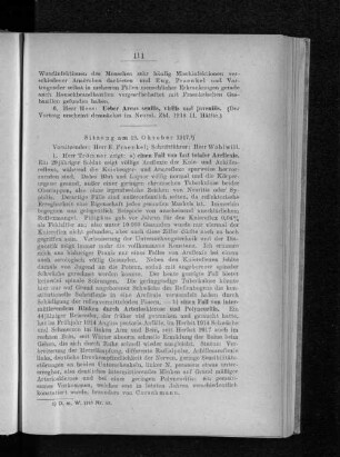 Sitzung am 19. Oktober 1917.