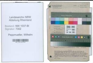 Entnazifizierung Wilhelm Peppmueller , geb. 01.04.1895 (Kaufmann)