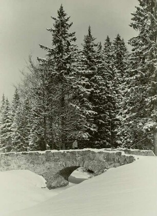 Brücke der alten Zinnstraße im Weißeritztal bei Rehefeld