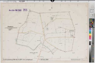 Olfen (Olfen), Umlegung Olfen-Rechede, Planabdruck Flur 38