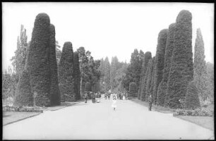 Moritzburg. Partie im Königlichen Schlossgarten