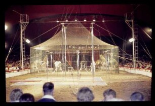 Zirkus Althoff 20.8.65.