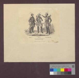 "Struve. Hecker. Schimmelpenning. Führer der republ. Freyschaaren im badischen Oberlande 1848."